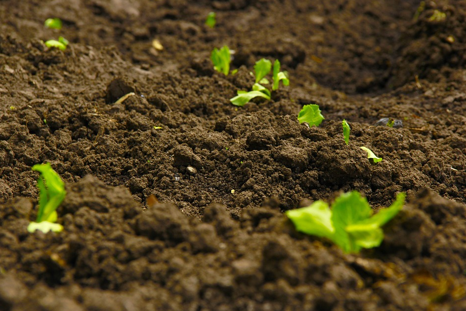 1619573310723144.png 1619573310723144.png