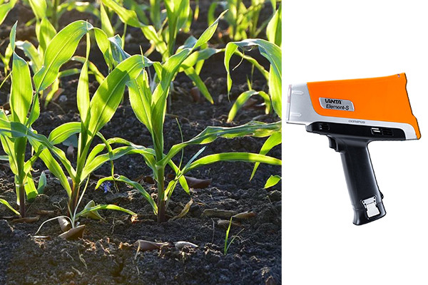 1647997972165882.jpg 600.jpg