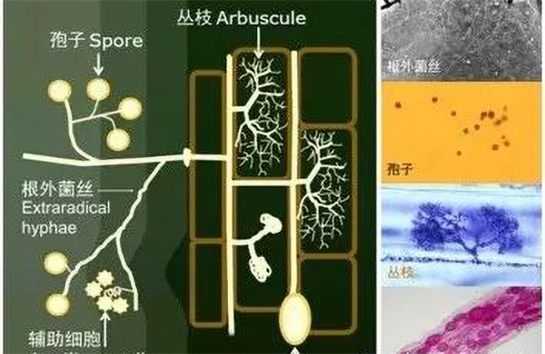 1648517118472598.jpg 1.jpg