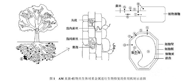 1648517151105876.jpg 4.jpg