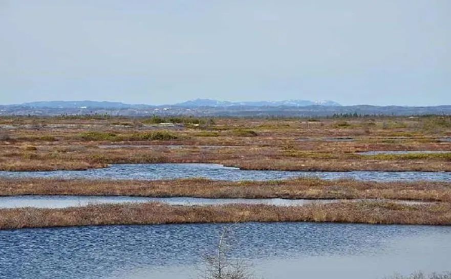 1665283354551694.jpg 微信圖片_20221009104224.jpg